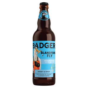 Badgers Blanfdord Flyer